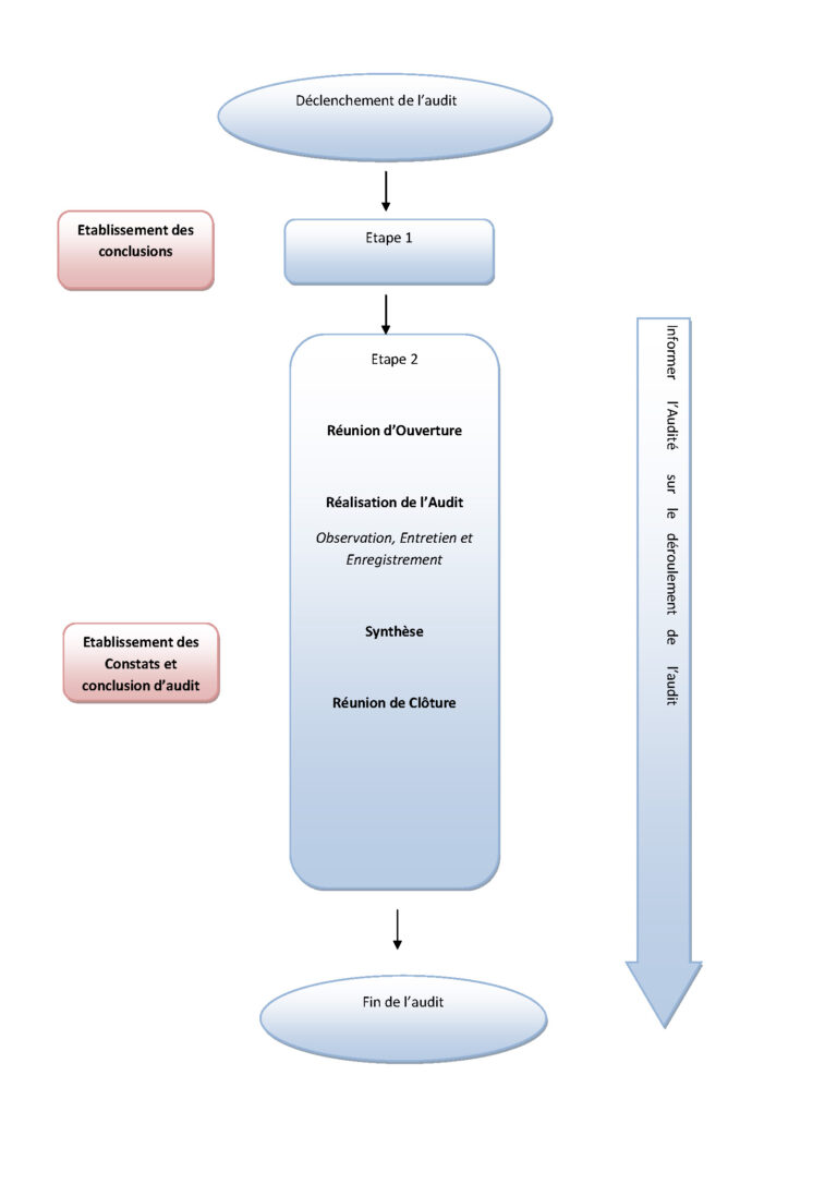 Le Processus d'audit